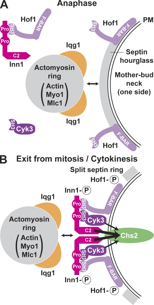 Figure 10.