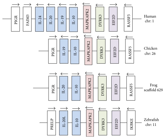 Figure 5