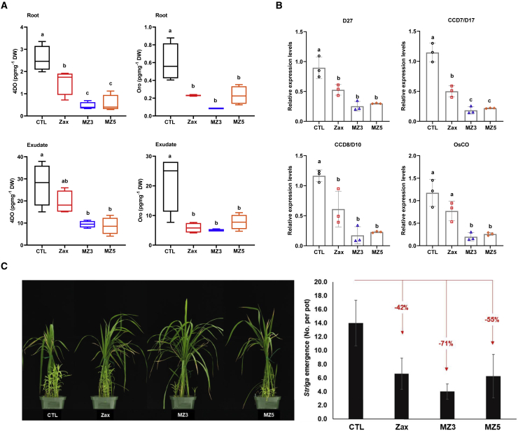 Figure 3