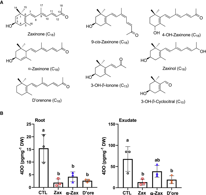 Figure 1