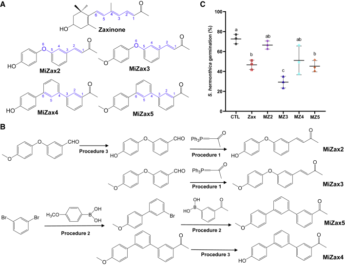 Figure 2