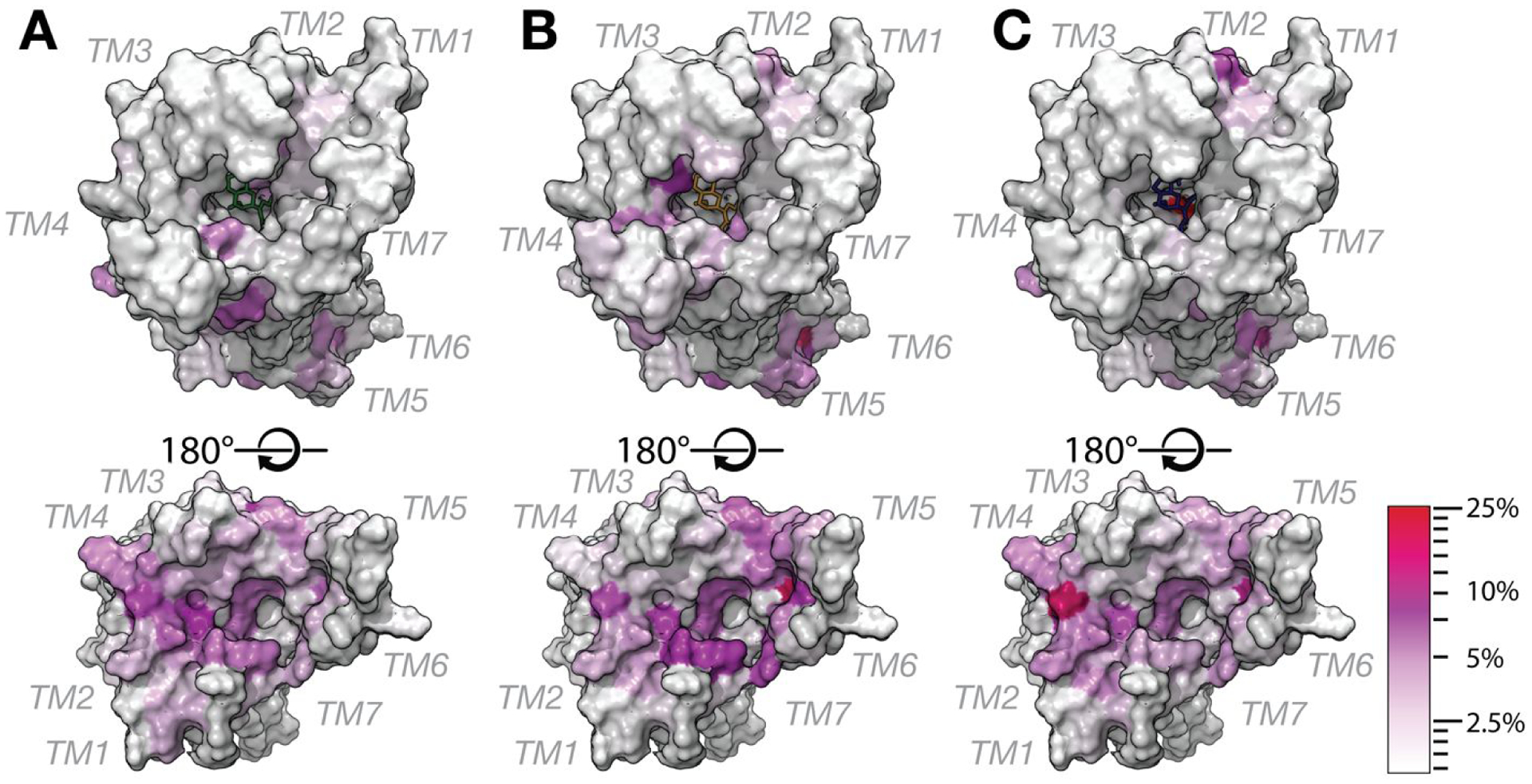 Figure 5.