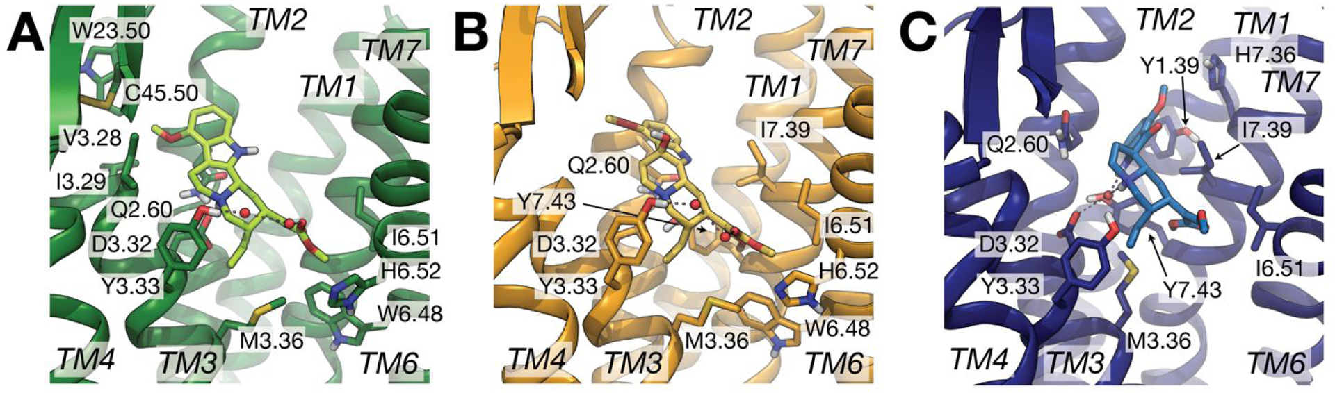 Figure 3.