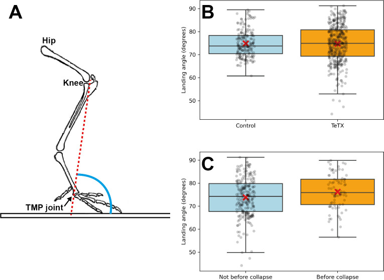 Figure 7—figure supplement 2.