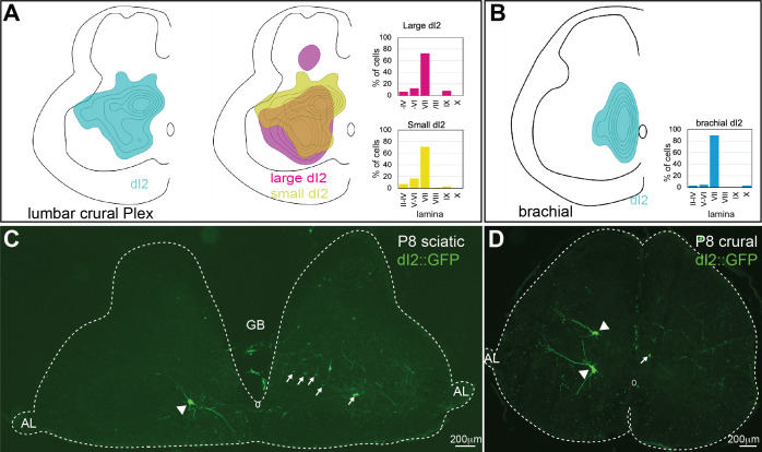 Figure 1—figure supplement 3.