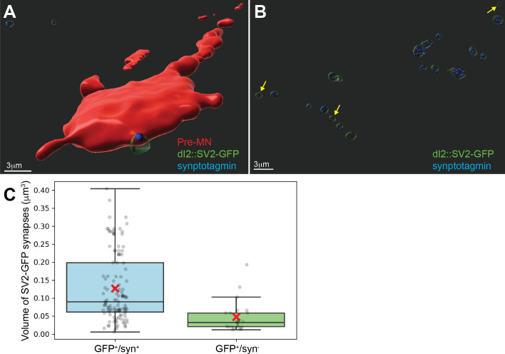 Figure 4—figure supplement 1.