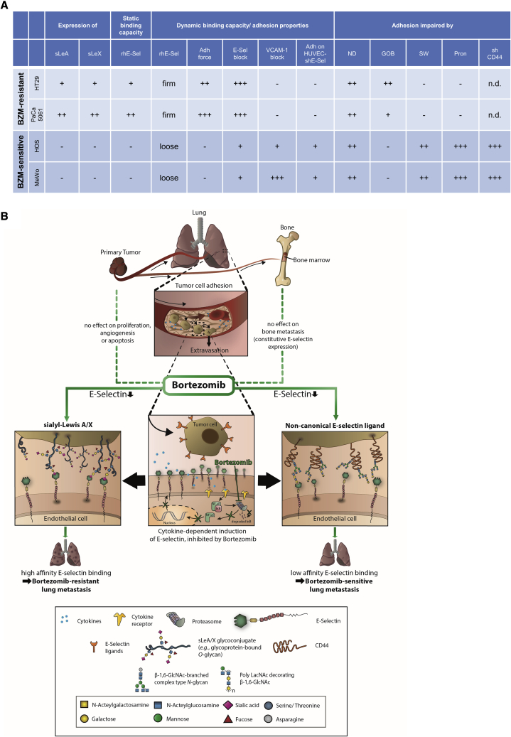 Figure 7