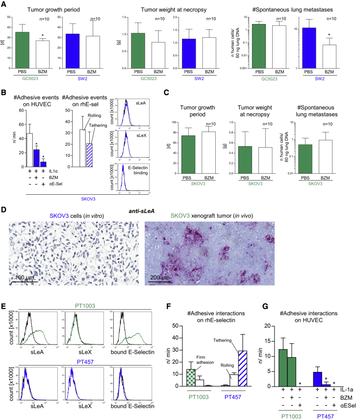 Figure 6