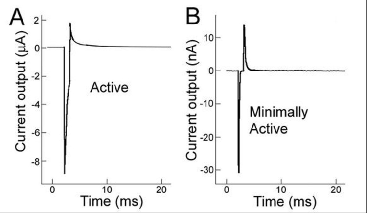 FIGURE 10