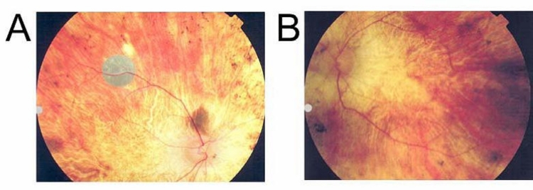 FIGURE 24