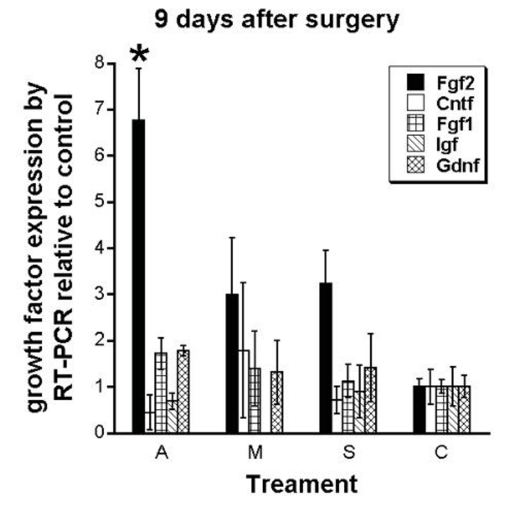 FIGURE 13