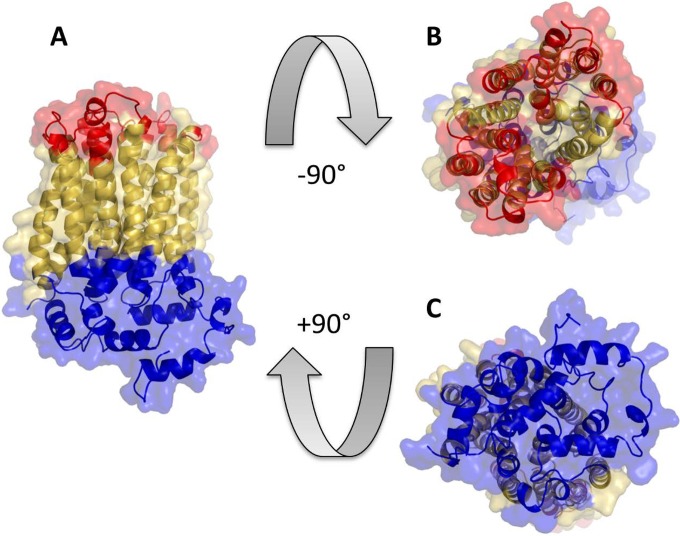 FIG 1 