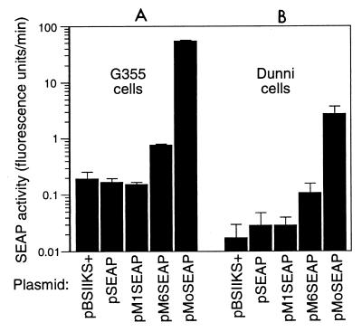 FIG. 4