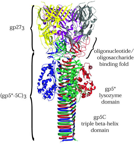 FIG. 2.