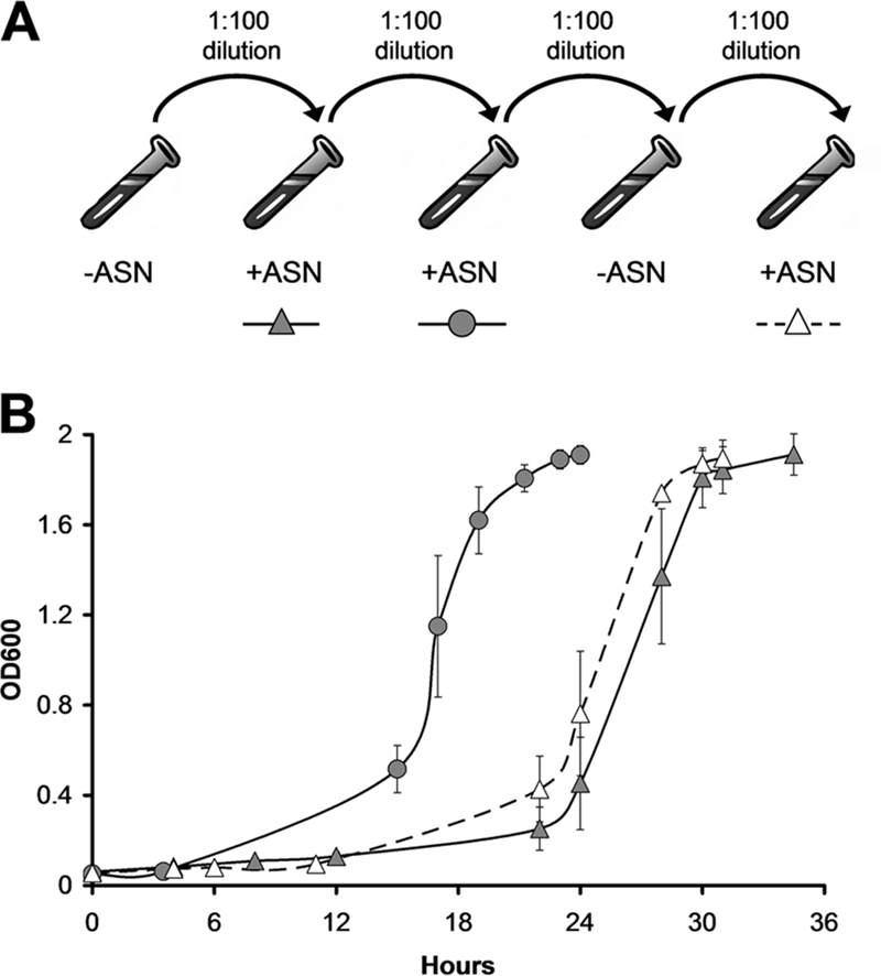 FIG. 1.