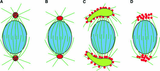 Figure 9.