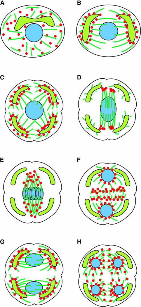 Figure 10.