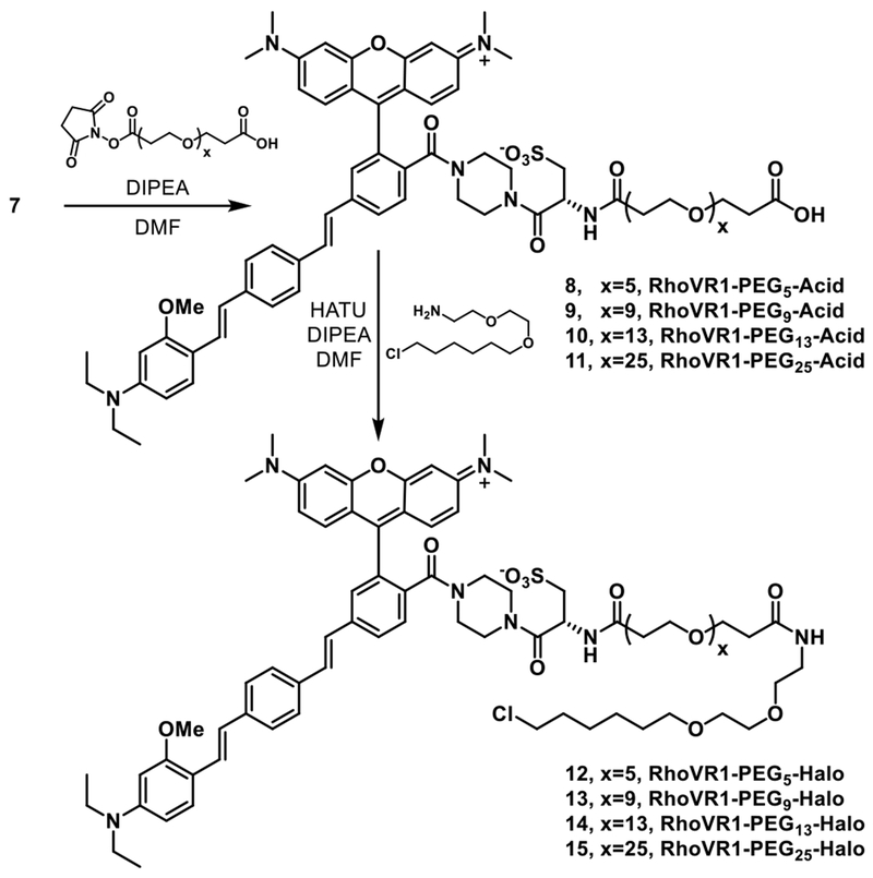 Scheme 3.