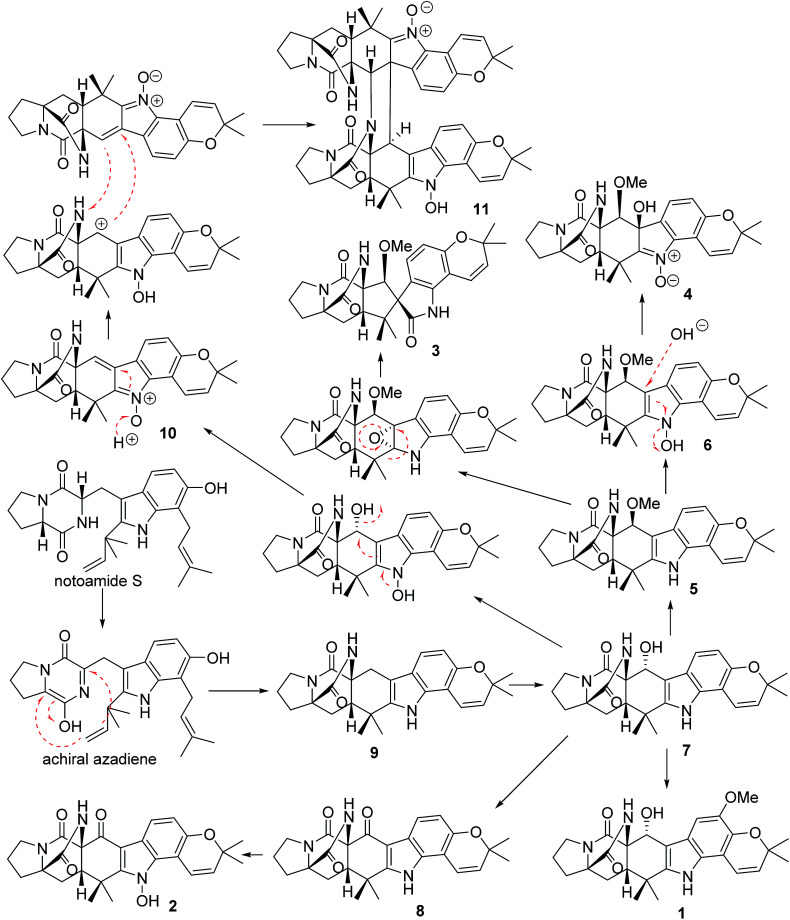 Scheme 1