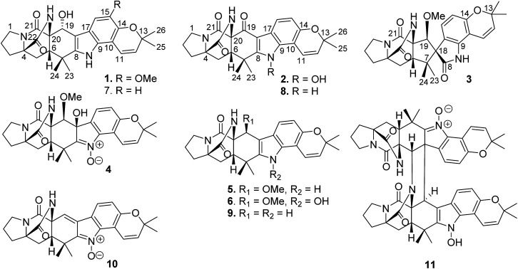 Fig. 1