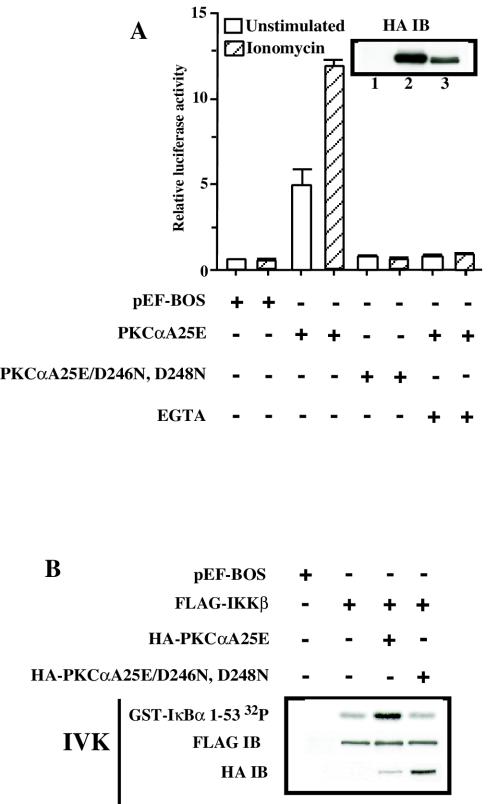 FIG. 4.