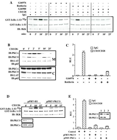 FIG. 5.