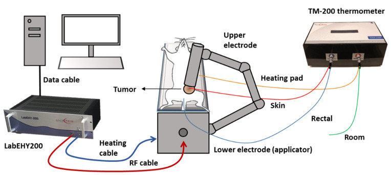 Figure 9