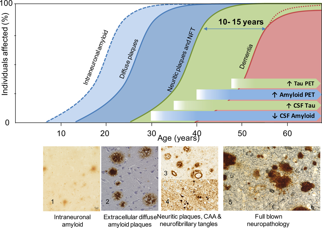 Figure 1: