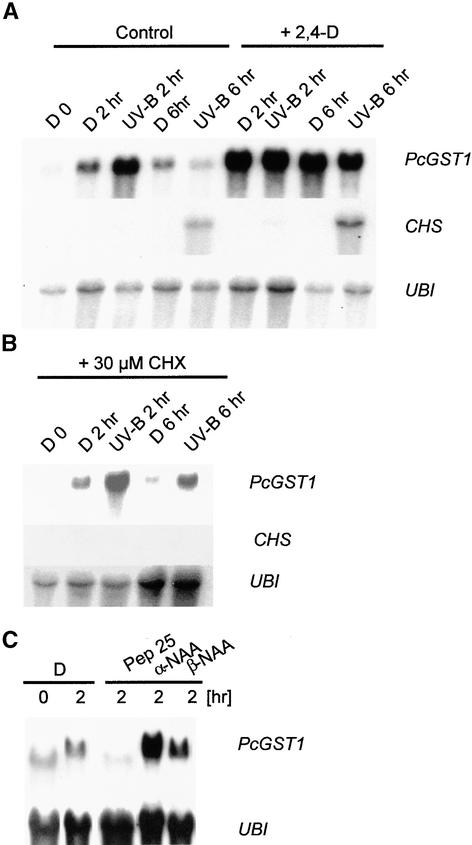 Figure 3.