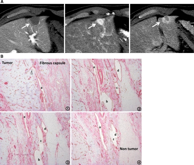 Fig. 7