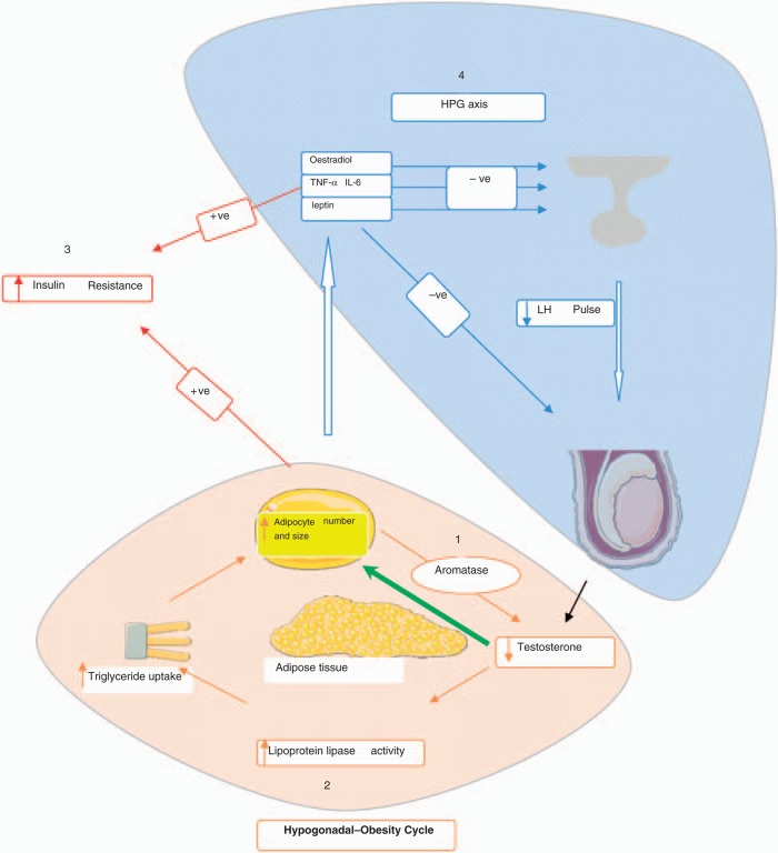 Figure 1.