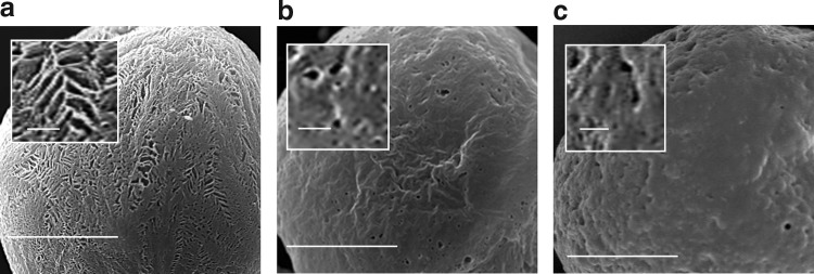 FIG. 5.