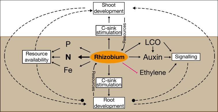 Fig. 3.