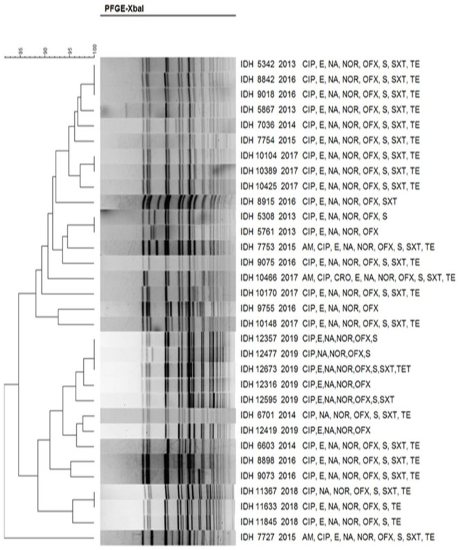 Fig 10