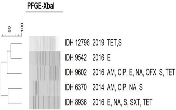 Fig 7