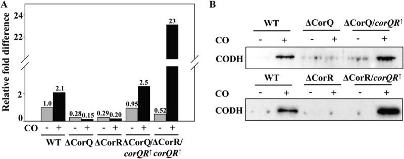 FIG 3