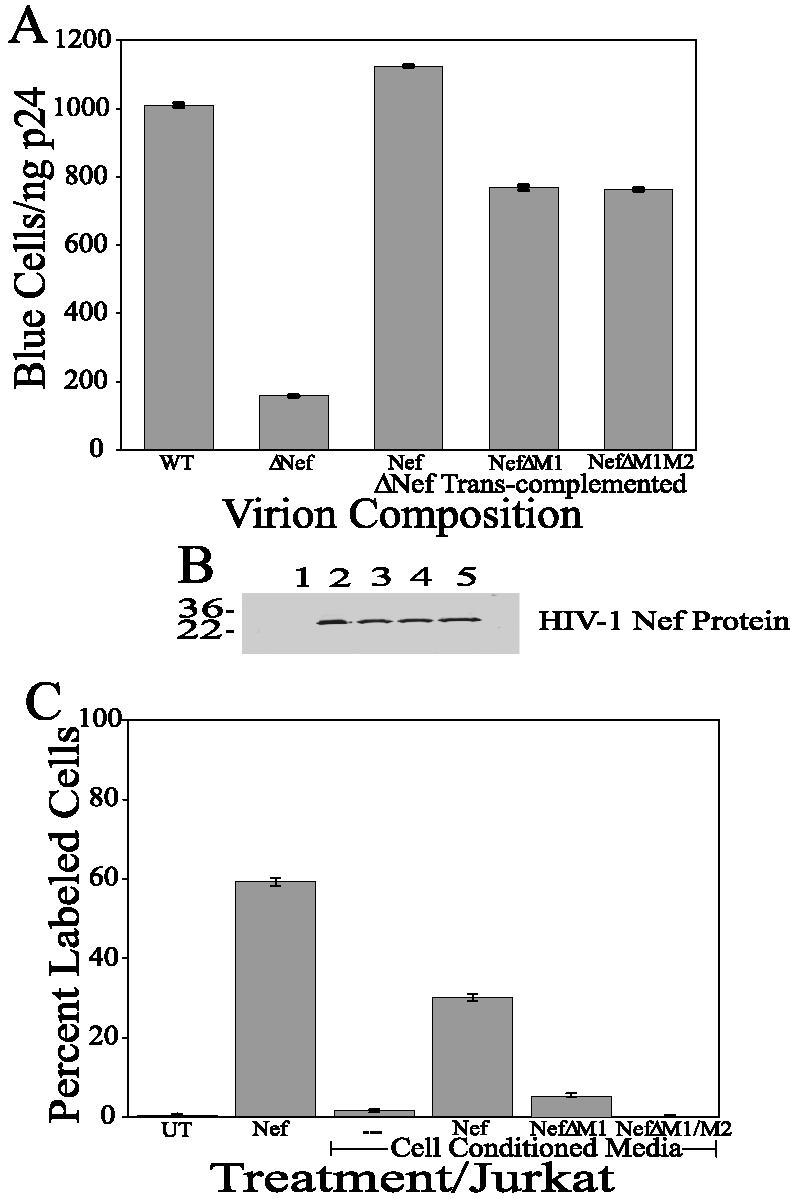 FIG. 5.