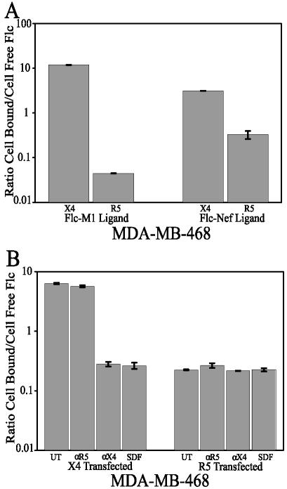 FIG. 7.