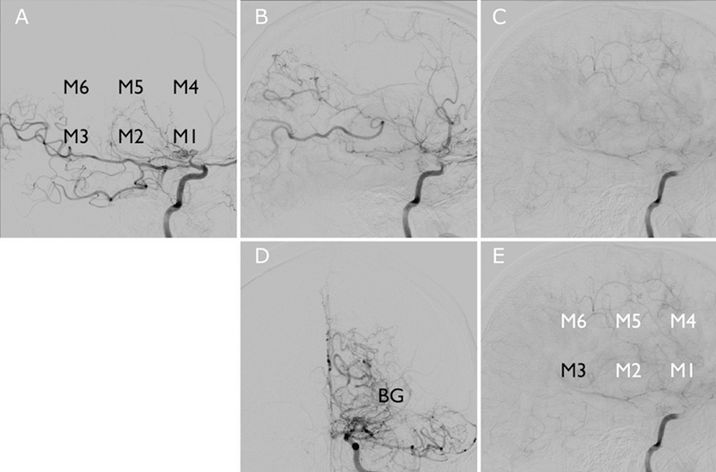 Figure 3.