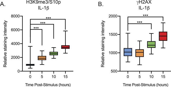 Figure 6—figure supplement 1.