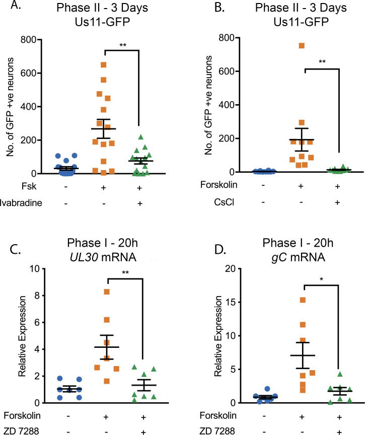 Figure 4—figure supplement 1.