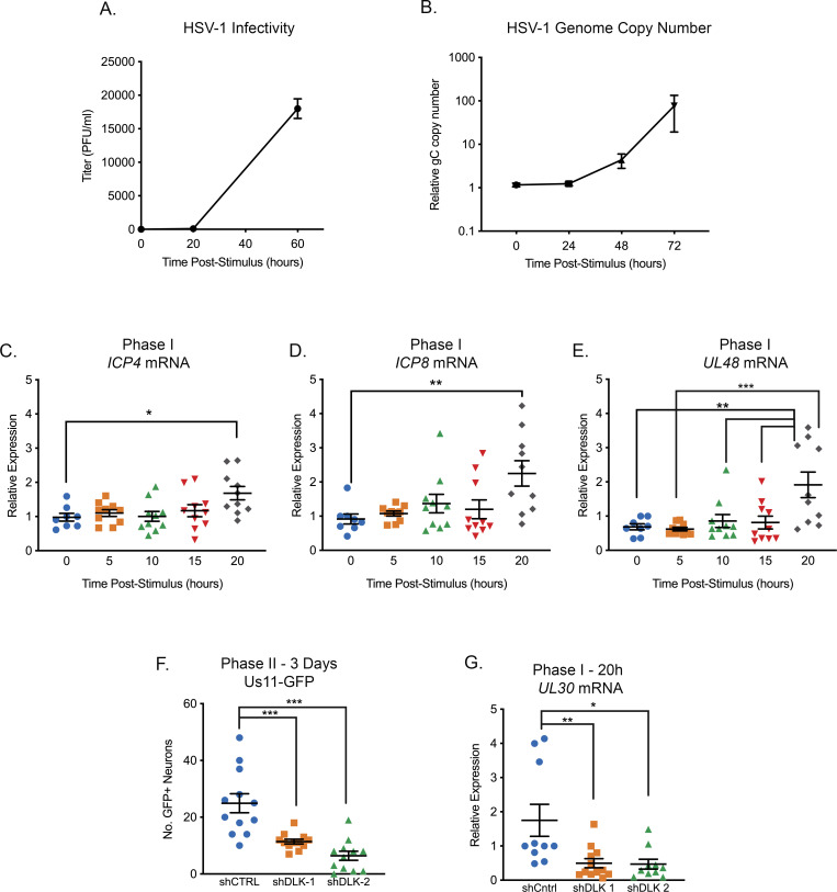 Figure 2—figure supplement 1.