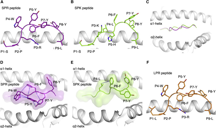 Figure 5