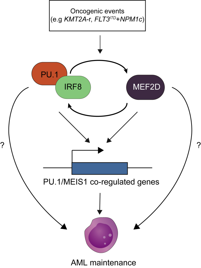 Figure 7