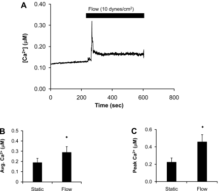 Fig. 8.