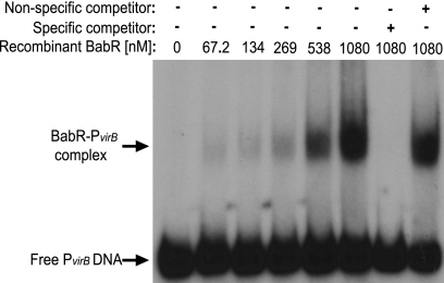 Fig 7