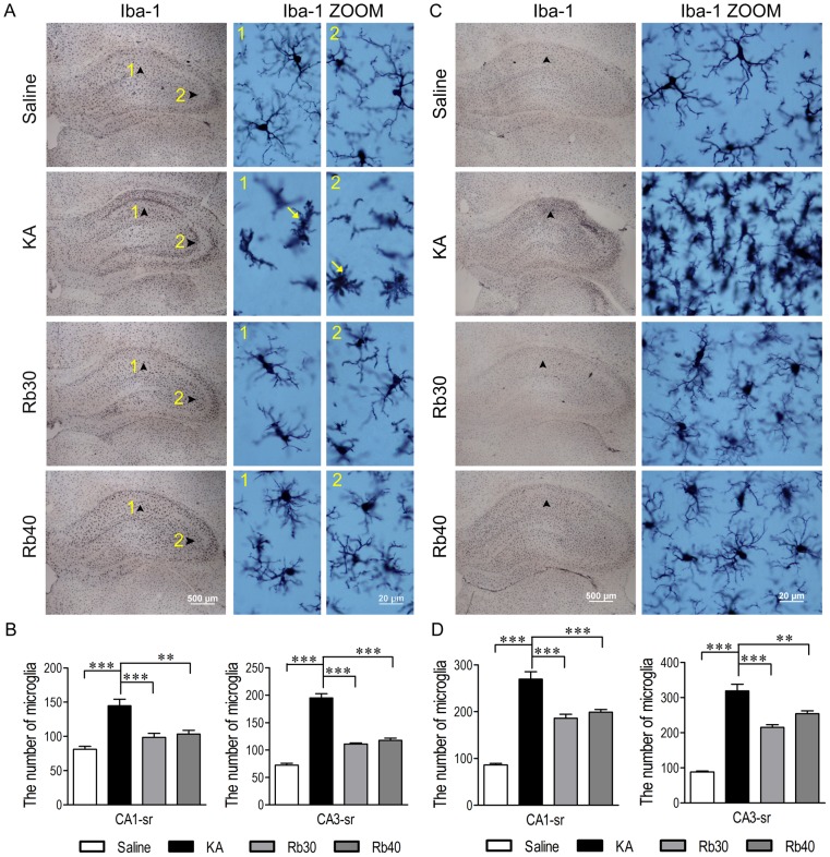 Figure 11