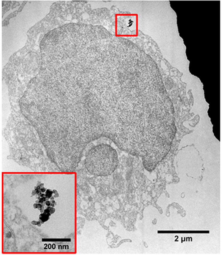 Fig. 5