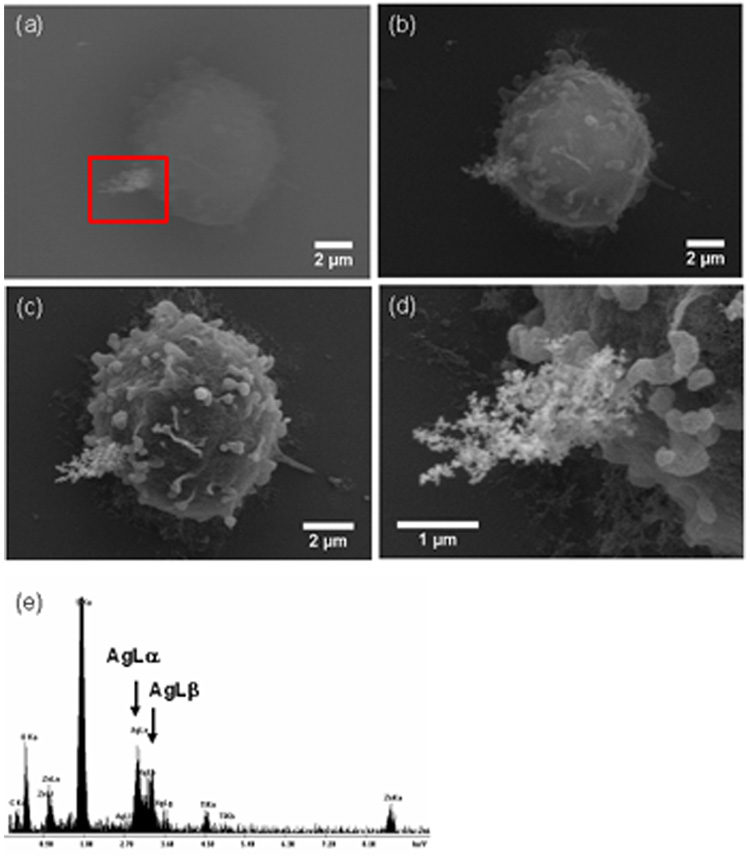 Fig. 4