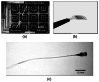 Figure 10.